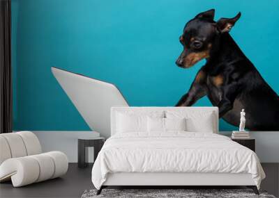 Cute dog who enjoy the laptop computer on blue background Wall mural