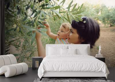 Picking Olives Wall mural