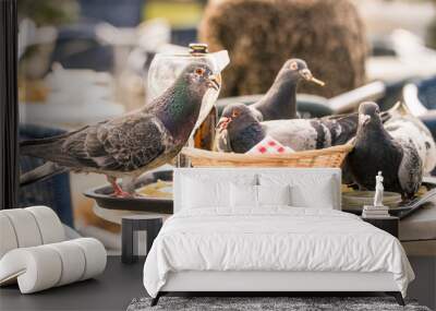 Pigeons eating chips left on a tray and basket at an outdoor bar in Amsterdam Wall mural