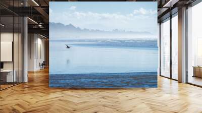 Seagull flying over a blue beach in Northern California Wall mural