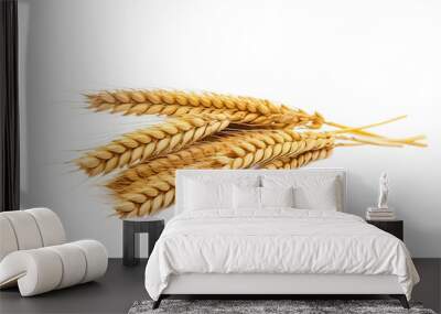 Golden ear of wheat spikelet close-up background Wall mural