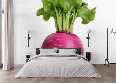 Turnip clip art Wall mural