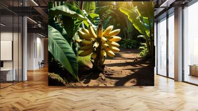 banana tree in the garden Wall mural