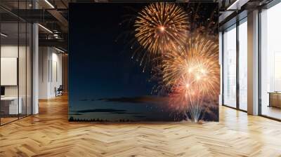 fireworks in the night sky Wall mural