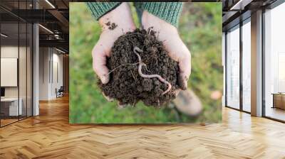 Earthworm on Heap of Soil on Hands Wall mural