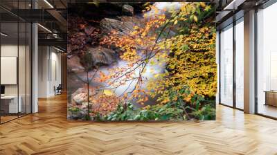 A waterfall, which soaks into the forest among two peak, landscape. Wall mural