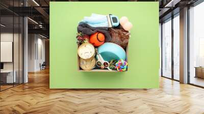 Donation box with pet supplies, food, toys on green background. Charity, animal shelter support concept. Wall mural