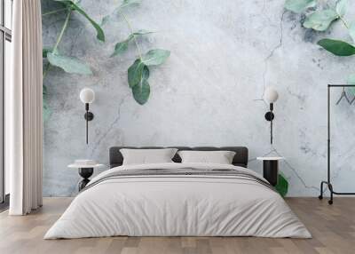 Eucalyptus branches on stone surface. Flat lay, top view, overhead. Wall mural