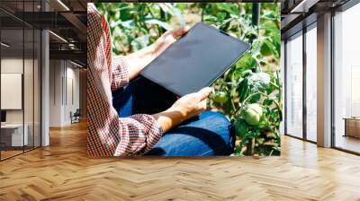 Farmer in greenhouse checking tomato plants using digital tablet. Agriculture innovative technology concept. Wall mural