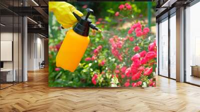 Female hand holding garden spray bottle with pesticides and spraying liquid on blooming roses. Control insects and plant diseases. Wall mural