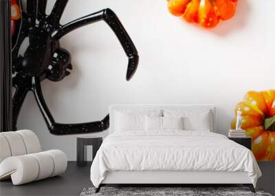 Halloween decoration spider with candies and pumpkins on white background. Halloween banner design. Wall mural