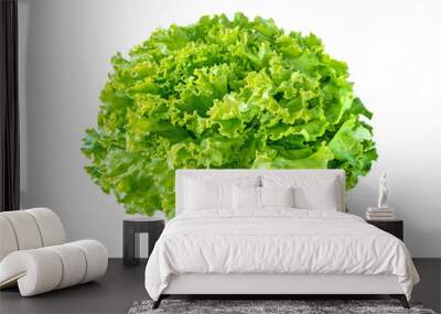 Batavia lettuce salad rosette isolated transparent png. Green leafy veggie.  Wall mural