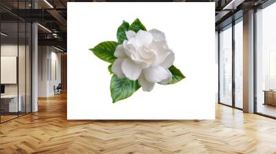 Gardenia jasminoides fragrant flower and leaves isolated transparent png Wall mural