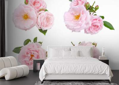 Pale pink roses and buds set isolated transparent png Wall mural