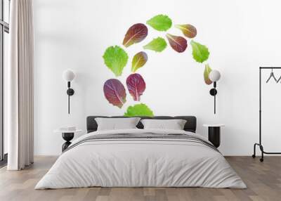 Spiral flying heap of lettuce salad purple and green leaves isolated transparent png Wall mural