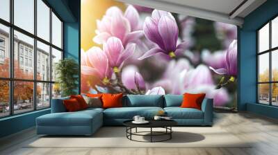 Magnolia flowers lit by sunlight, beautiful nature in spring, beautiful magnolia flowers on blurred background with bokeh effect Wall mural