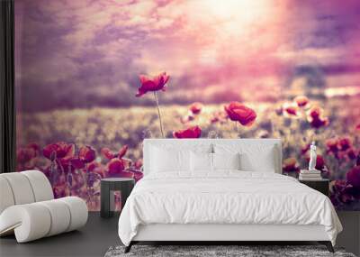 Poppy flower in meadow at sunset, beautiful landscape with flowers and sky Wall mural