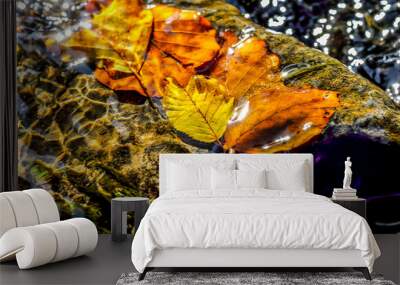 Autumn leaves in water, abstract look. Wall mural