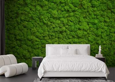 moss wall, green wall decoration made of reindeer lichen Cladonia rangiferina Wall mural