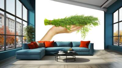 dill Wall mural