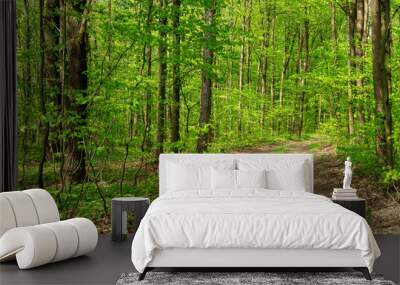 Forest trees. Nature green wood sunlight backgrounds Wall mural