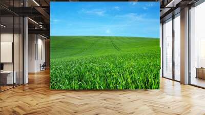 green field and blue sky with clouds Wall mural