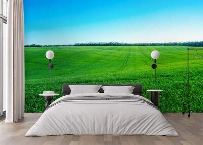 green field and blue sky Wall mural