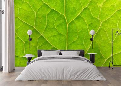 leaf texture Wall mural