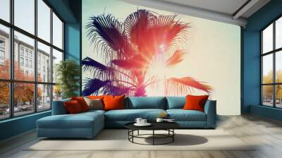 Sun over green palm leaves. Wall mural