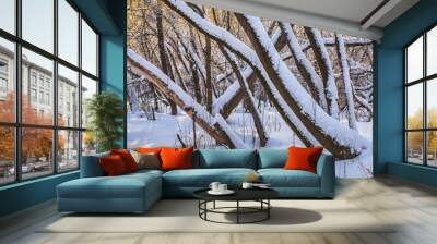 picturesque view of snow-covered forest on field at winter day  Wall mural