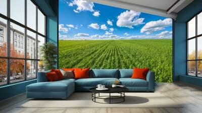 View of agricultural field with white fluffy clouds in blue sky at sunny summer day Wall mural