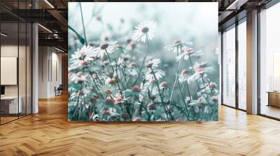 white daisies growing on summer meadow in morning sunlight  Wall mural