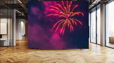 fireworks 2 Wall mural