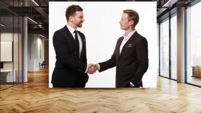 handshake of two businessmen Wall mural