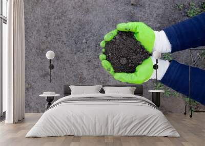 Farmer holding soil in hands close-up. View from above. Agriculture, gardening. Wall mural