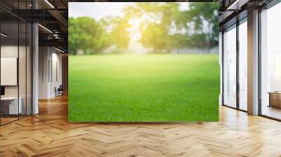 Lawn blur with soft light for background Wall mural