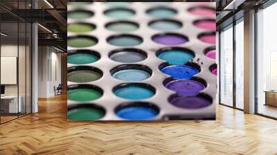 Professional eyeshadows palette Wall mural