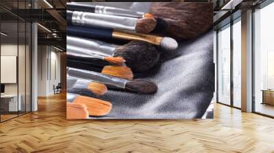 Professional makeup brushes in compact case Wall mural