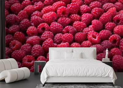 Ripe raspberry background Wall mural