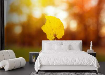 Yellow fall maple leaf in hand Wall mural