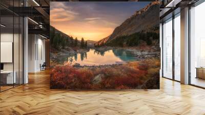 pink sky and mirror like lake on sunset with red color growth on foreground, altai mountains highlan Wall mural