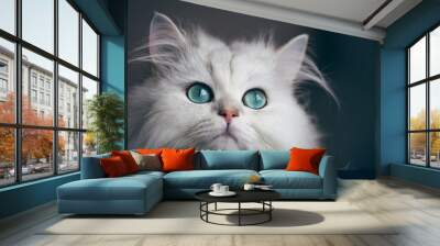 White cat chinchilla. Fluffy cute pet animal with bright green eyes Wall mural