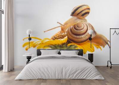 Helix pomatia. little snail crawling on a flower. mollusc and invertebrate. delicacy meat and gourmet food Wall mural