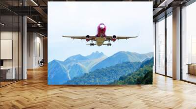 Passenger jet plane flies in the sky. Air transport industry Wall mural