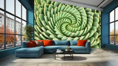 pattern of spiral aloe Wall mural