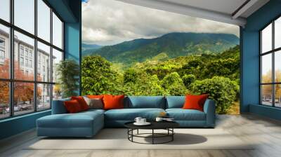 Blue mountains of Jamaica coffee growth place Wall mural