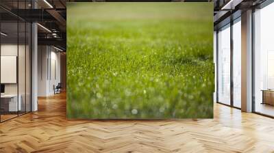 grass Wall mural