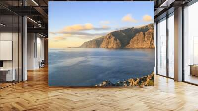 Sea coast of Tenerife.Canary islands Wall mural