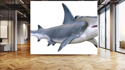 3D Rendering Hammerhead Shark on White Wall mural