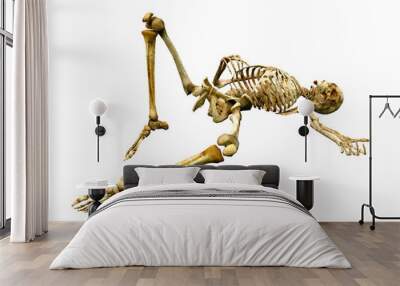 3D Rendering Human Skeleton on White Wall mural